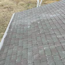 House and Roof Cleaning 4