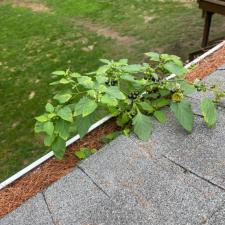 Gutter Cleaning in Queensbury, NY